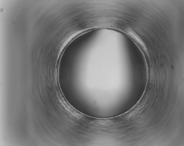 X0000059041340200510171839