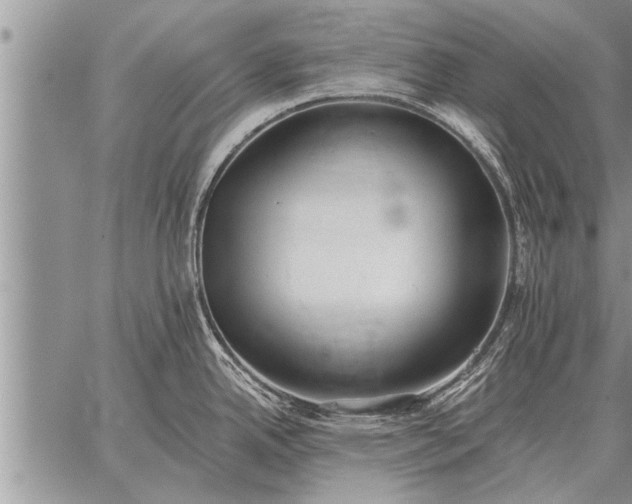 X0000059041342200510171839