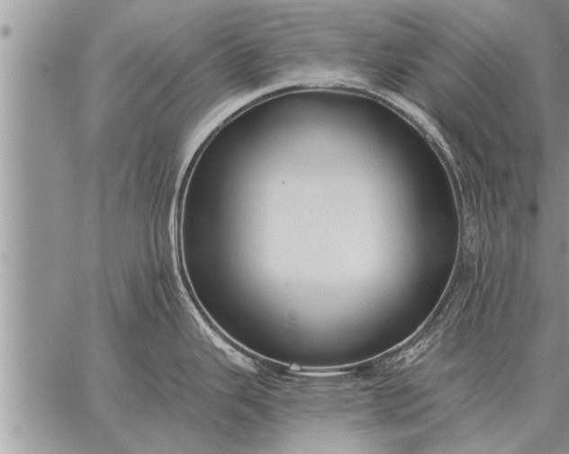 X0000059041343200510171839