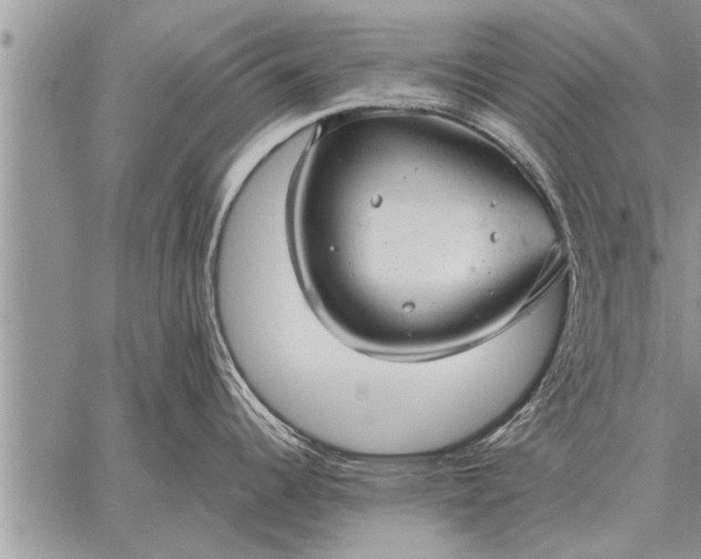 X0000059041344200510171839