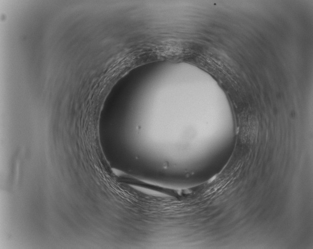 X0000059041345200510171838