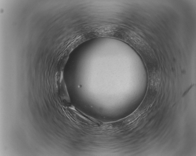 X0000059041346200510171838