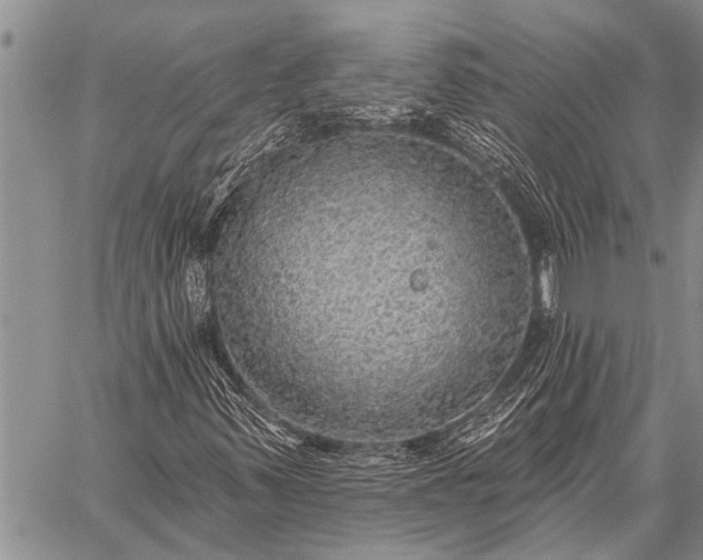 X0000059041347200510171838