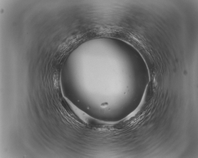 X0000059041348200510171838