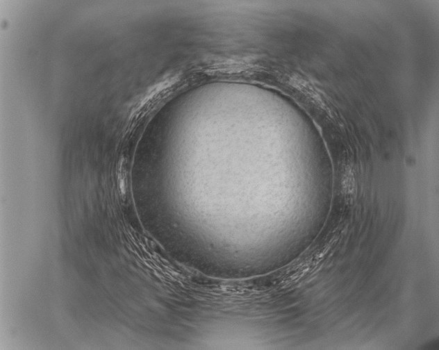 X0000059041350200510171838