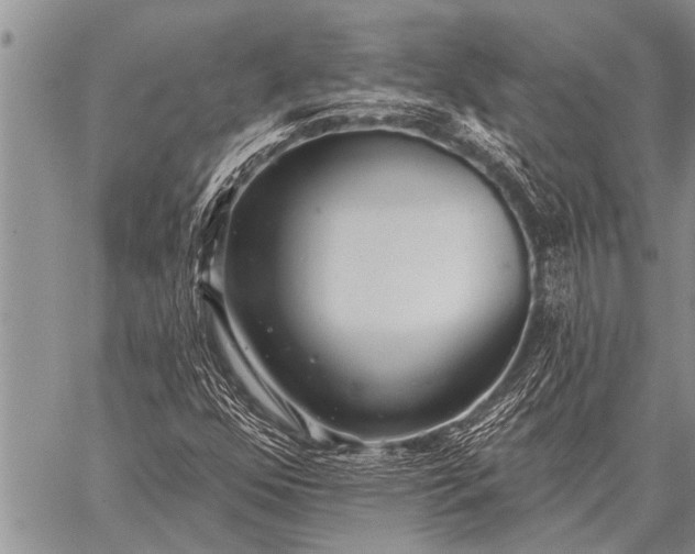 X0000059041352200510171838