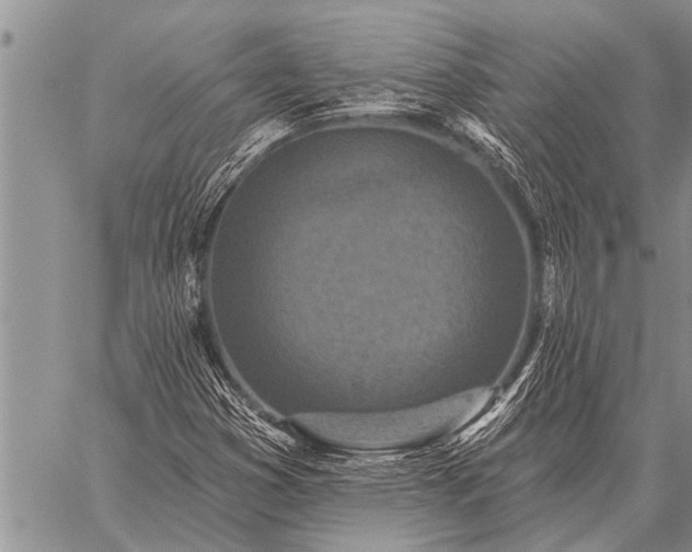 X0000059041353200510171838