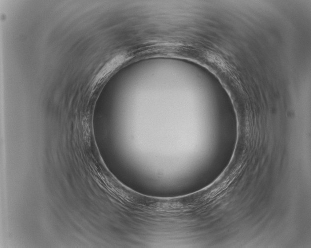 X0000059041354200510171838