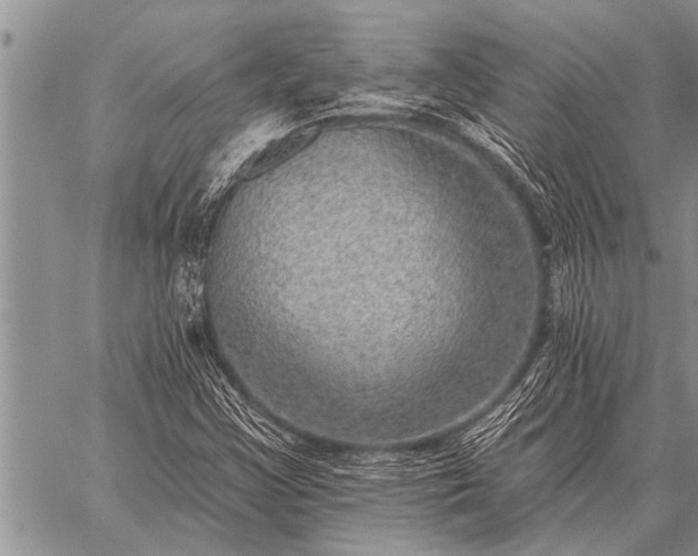 X0000059041355200510171838