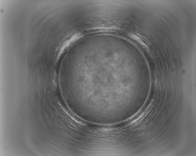 X0000059041357200510171838