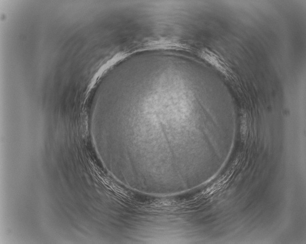 X0000059041358200510171838