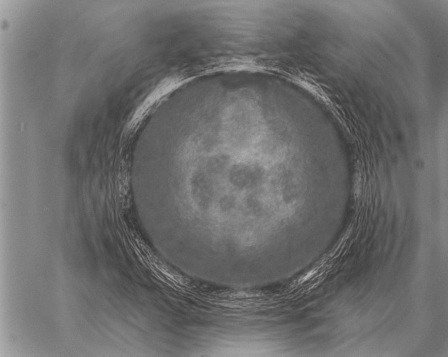 X0000059041359200510171838