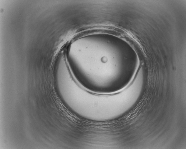 X0000059041360200510171838