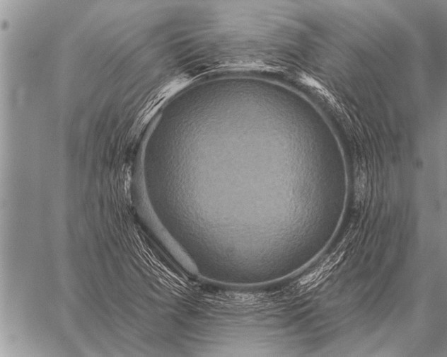 X0000059041361200510171838