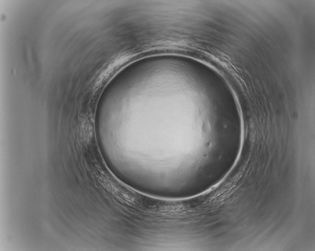 X0000059041363200510171838