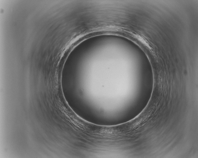 X0000059041364200510171838