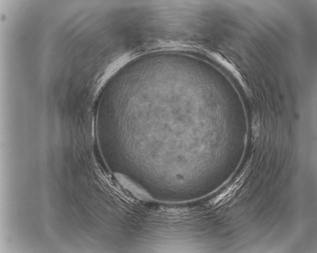 X0000059041365200510171838