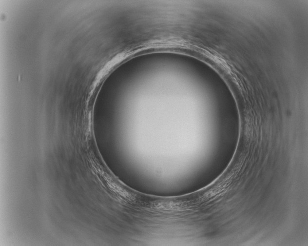 X0000059041366200510171838