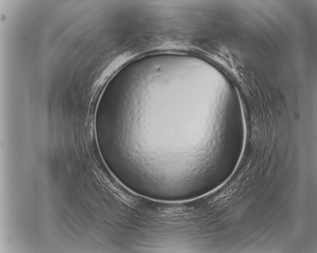 X0000059041367200510171838