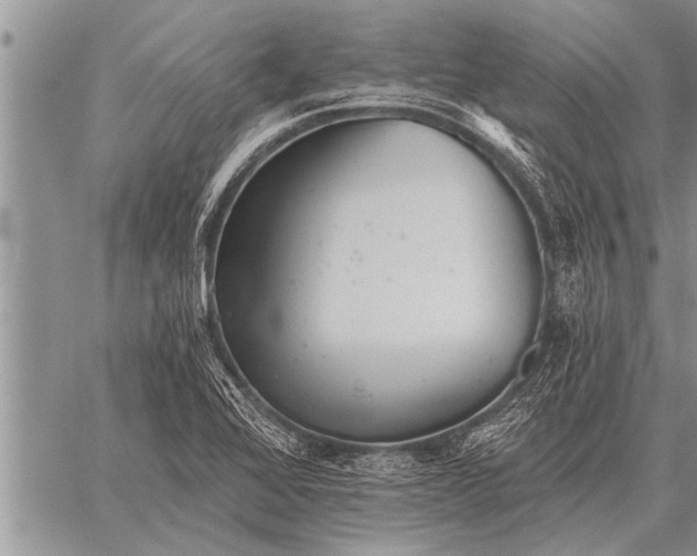 X0000059041368200510171838