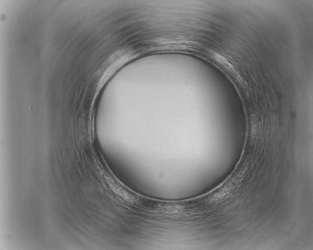 X0000059041370200510171838