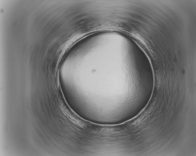 X0000059041371200510171838