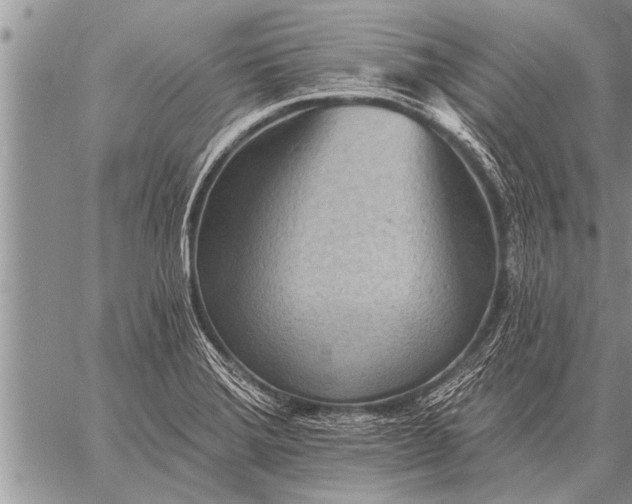 X0000059041372200510171838