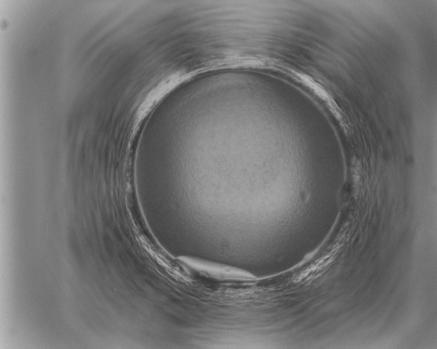 X0000059041373200510171838