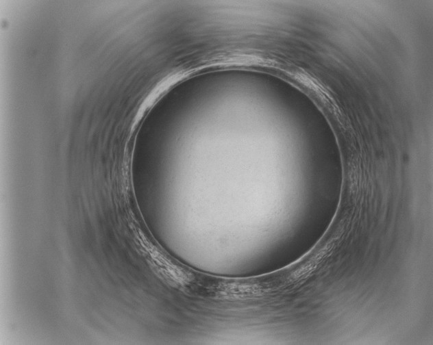 X0000059041374200510171838