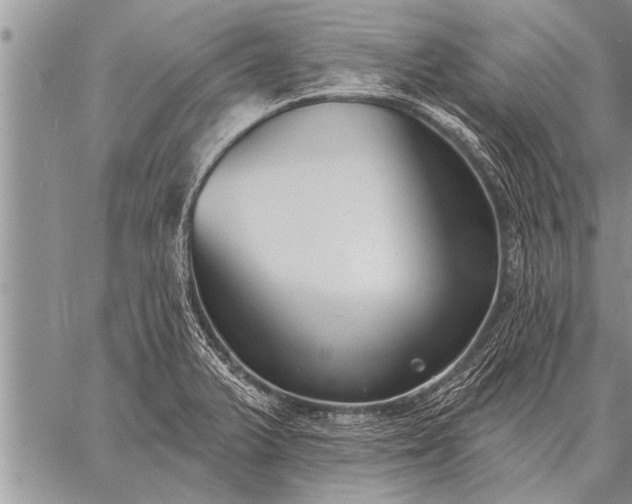 X0000059041375200510171838