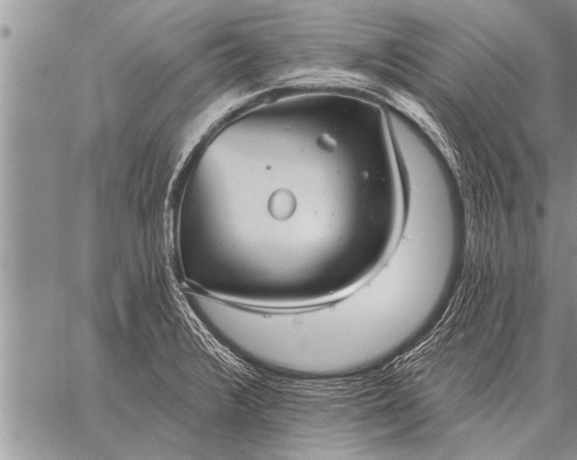 X0000059041376200510171838