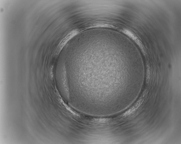 X0000059041377200510171838