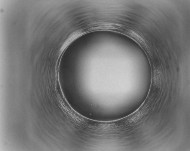 X0000059041378200510171838