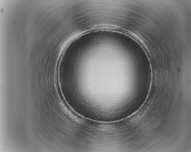 X0000059041379200510171838