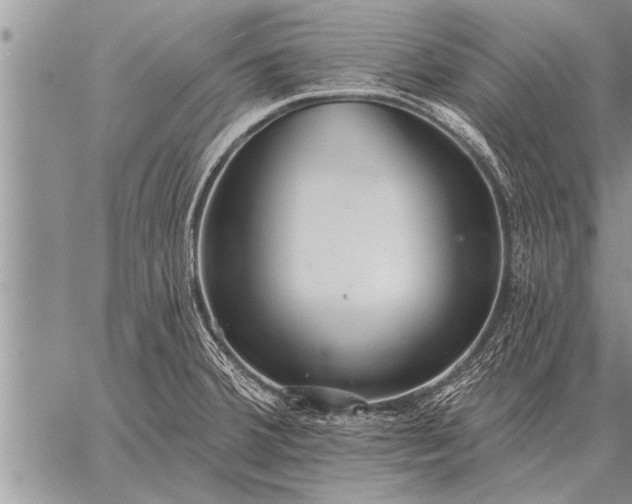 X0000059041380200510171838