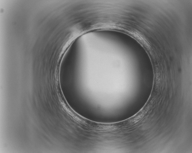 X0000059041382200510171838