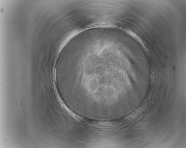 X0000059041383200510171838