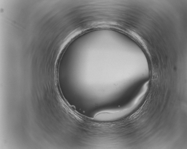 X0000059041384200510171838