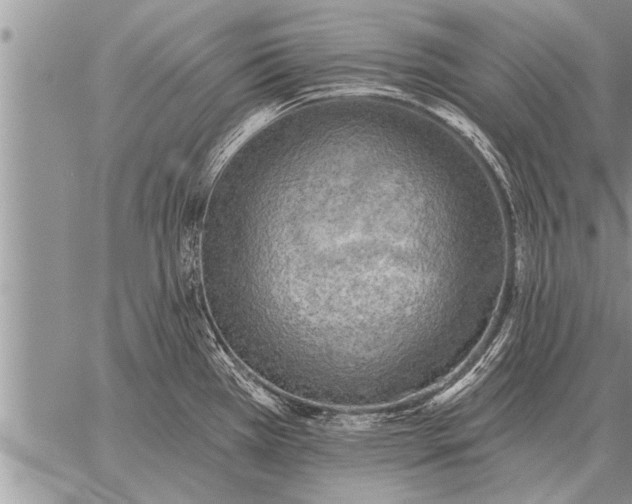 X0000059041385200510171837