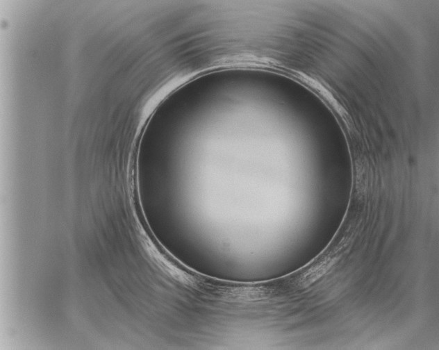 X0000059041387200510171837