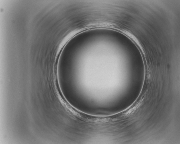 X0000059041389200510171837