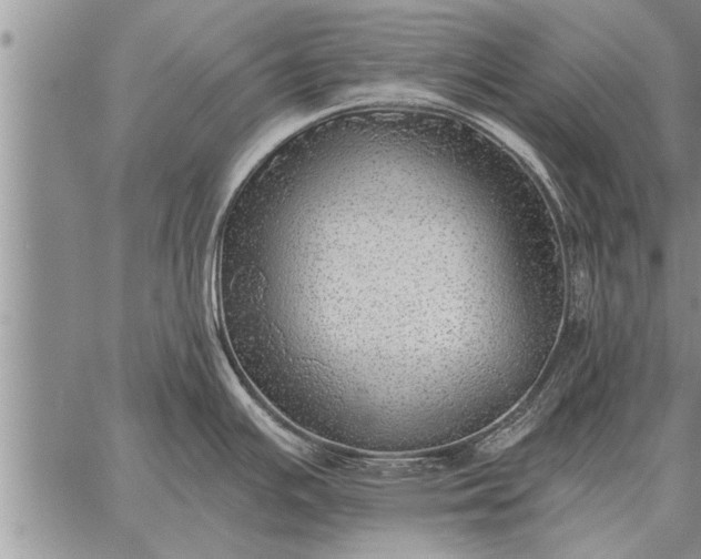 X0000059041391200510171837