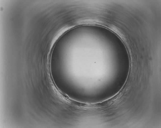 X0000059041392200510171837