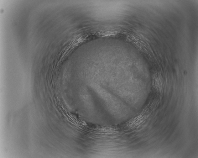 X0000059041393200510171837