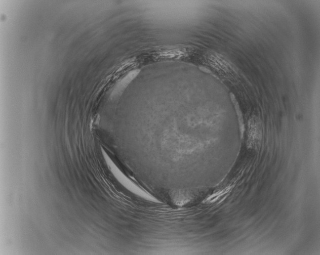 X0000059041394200510171837