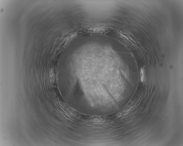 X0000059041395200510171837