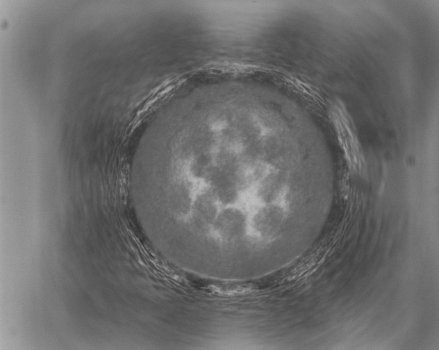 X0000059041397200510171837