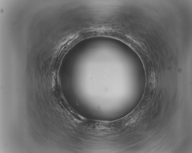 X0000059041398200510171837