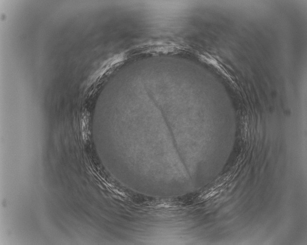 X0000059041399200510171837