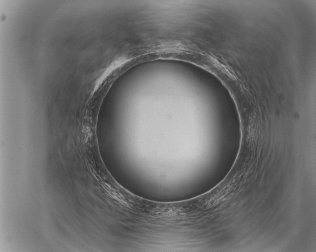 X0000059041400200510171837